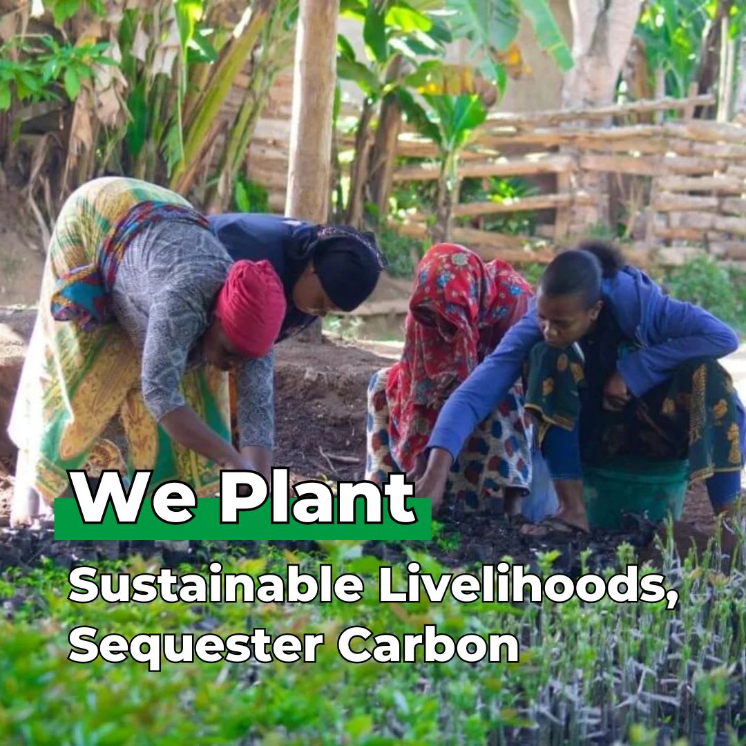 You Plant We Plant Tree Pouch, We Plant 50 More Trees