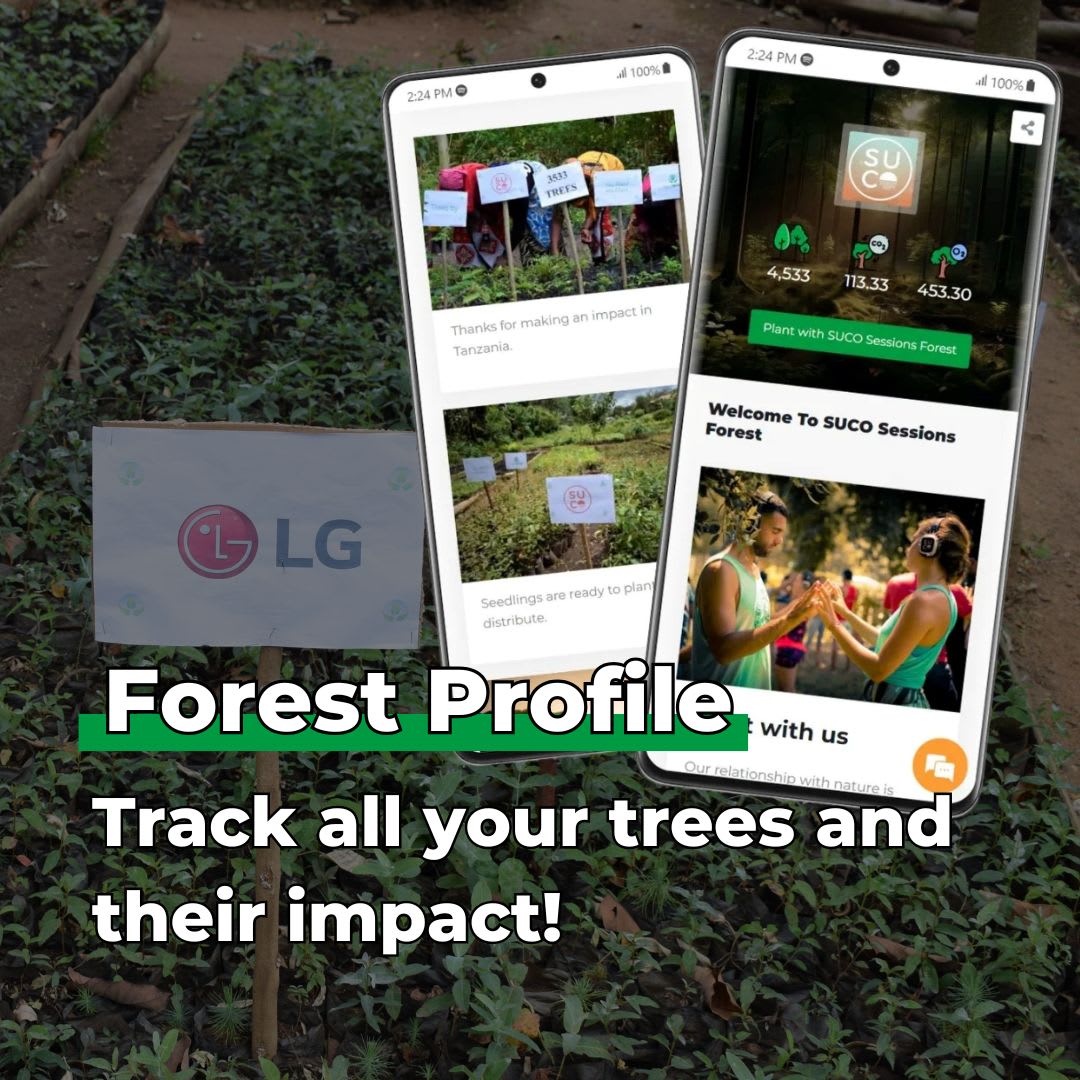 Every Forest Starts From a Single Seed – Tree Kit - We Plant 20 Trees-4