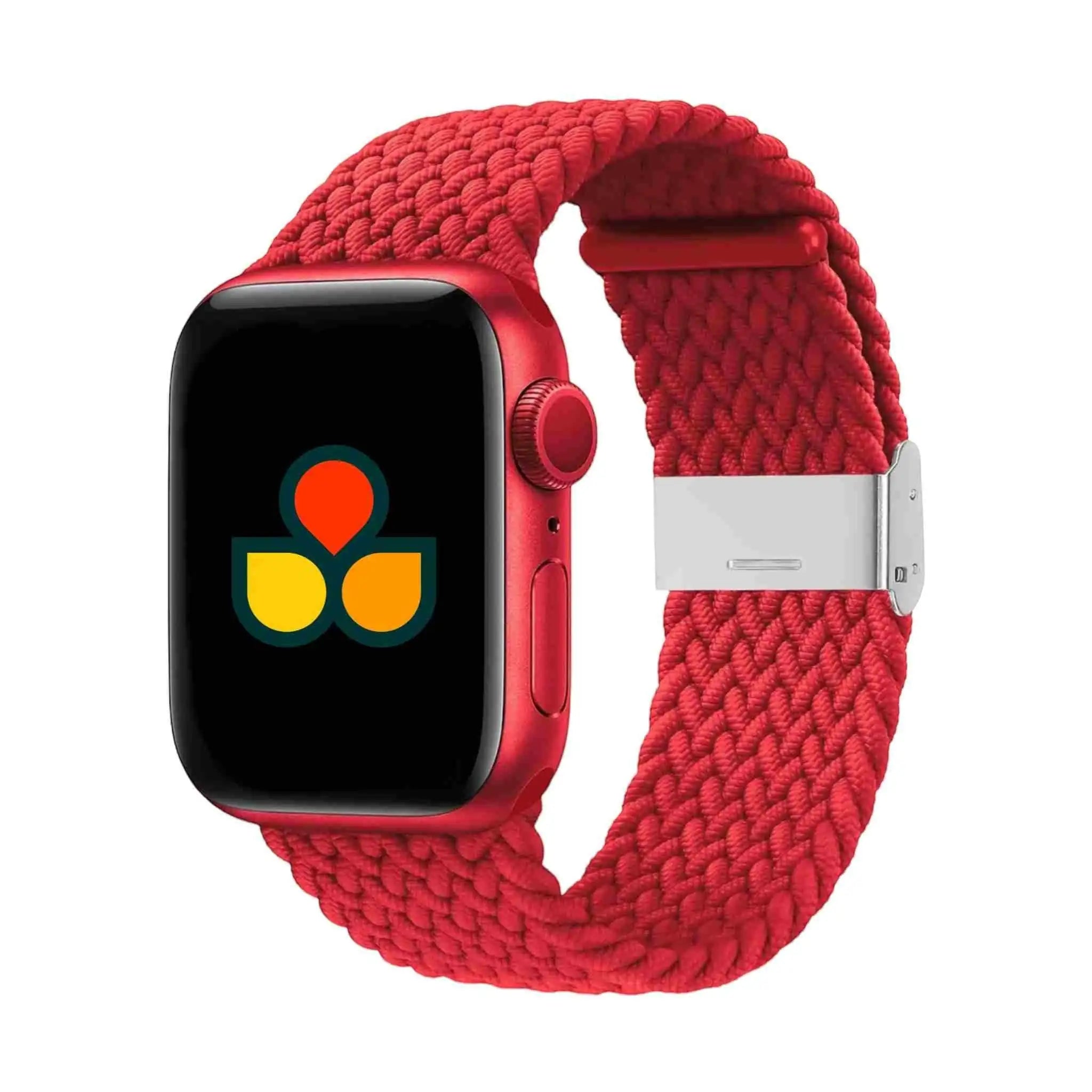 Braided Nylon Strap-4